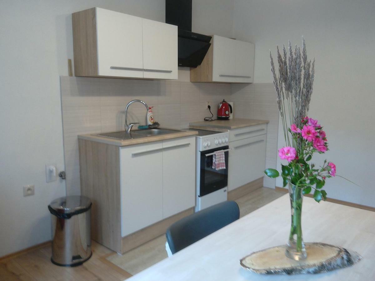 Apartman S Vyhladom Lägenhet Kremnica Exteriör bild